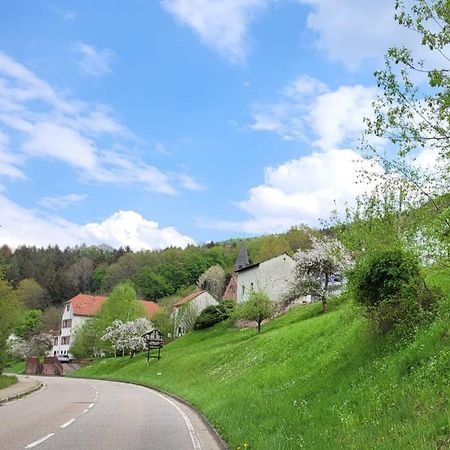 Family House Apartman Eberbach  Kültér fotó