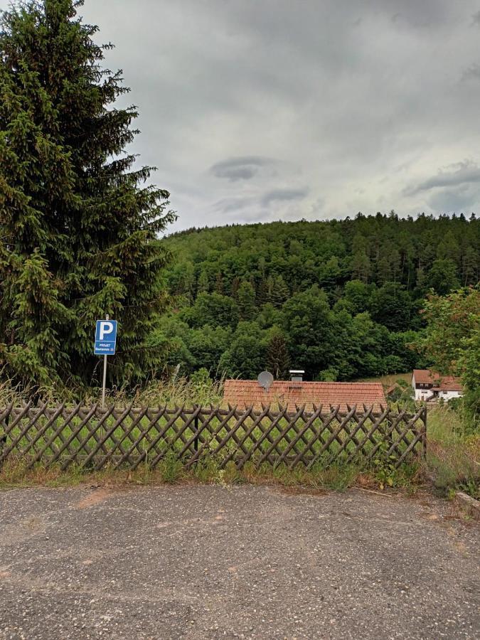 Family House Apartman Eberbach  Kültér fotó